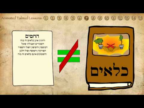 Lesson 7: The Masechtot - Animated Talmud Introduction