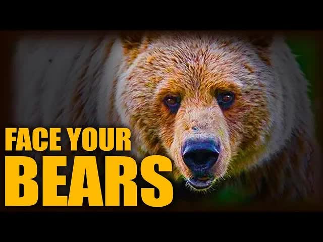 Face Your Bears
