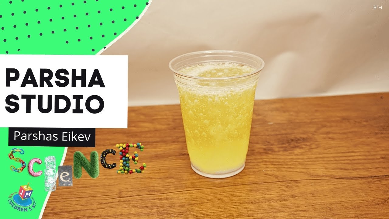 Parsha Studio: Eikev – Milk & Honey Lava Lamp